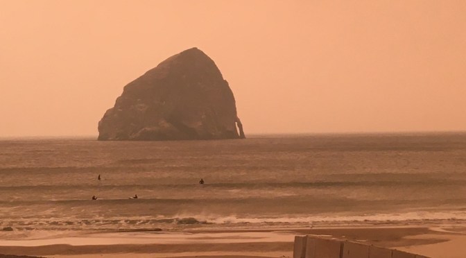 Wharton File #3: COVID, CDL, and CRT Policies, Part 1 (Why I Filed a Second Complaint)